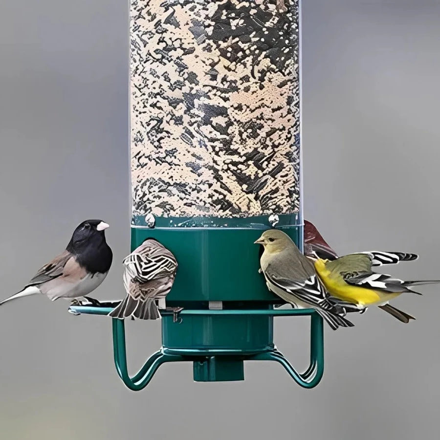 Squirrel-Resistant Bird Feeder with Weight-Activated Perch and Four Ports Zolana