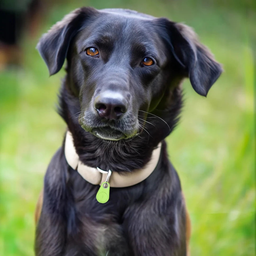 Bluetooth Pet Tracker with Real-Time Location and Proximity Alerts, Water Resistant Zolana