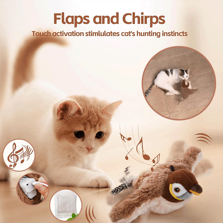 Motion-Activated Cat Toy with Lifelike Feather Tail and USB Rechargeable Battery