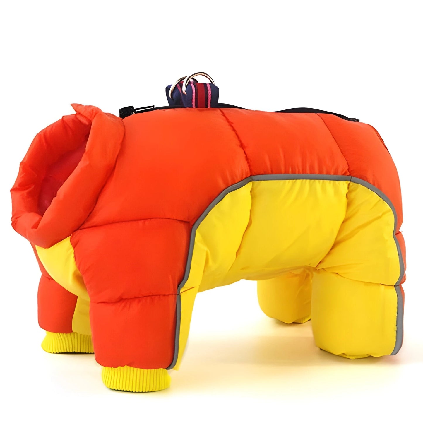 Dog Coat with Water-Resistant Shell and Insulated Lining, Back Zipper, Leash Ring Zolana