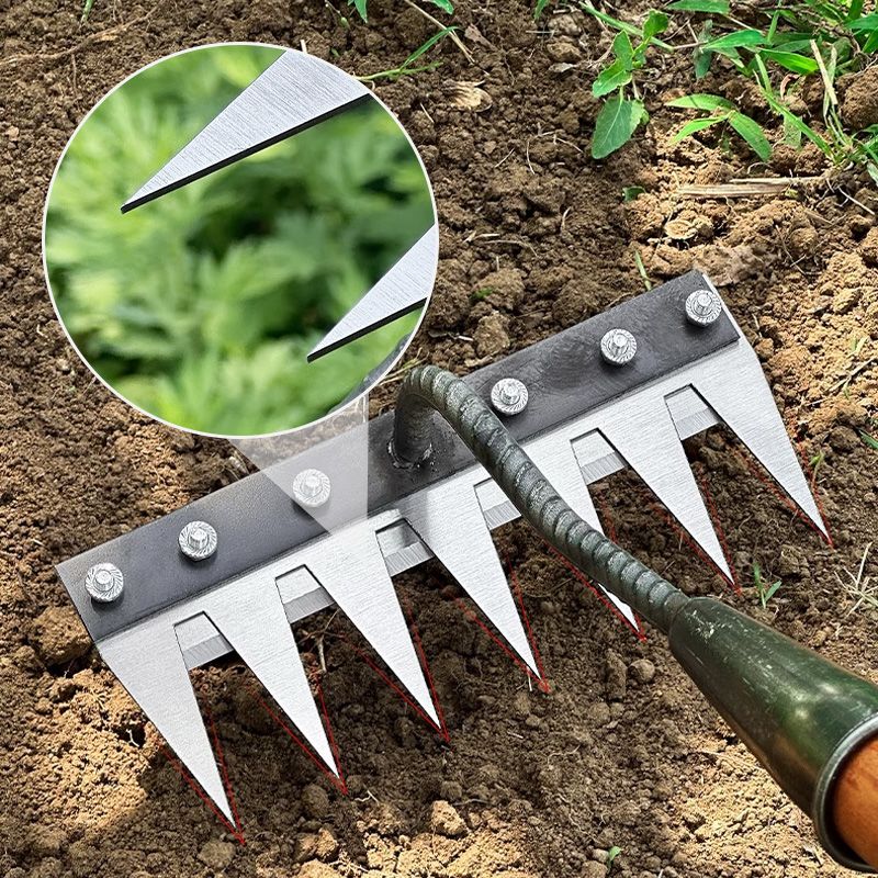 Interchangeable Rake Head with Rust-Resistant Tines and Multiple Widths, Fits 3 cm Pole