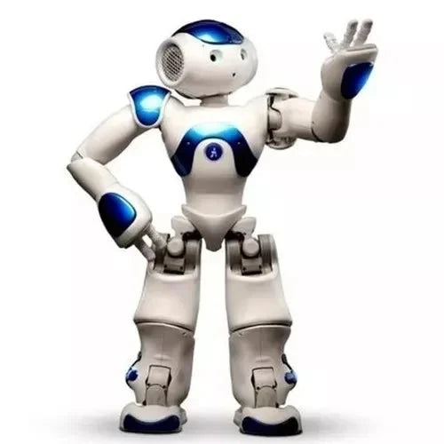 Humanoid Educational Robot with Advanced Vision and Directional Audio, 25-DoF Motion Zolana
