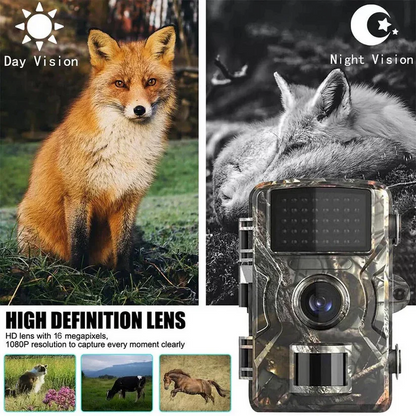 Trail Camera with Night Vision and 16MP Photos, 1080P HD Video, No Glow IR