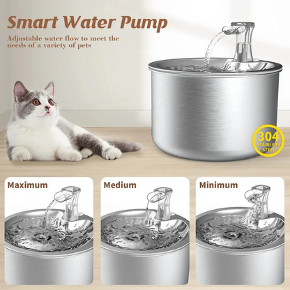 Cat Water Fountain with Stainless Bowl and Motion Sensor, Replaceable Filter, USB