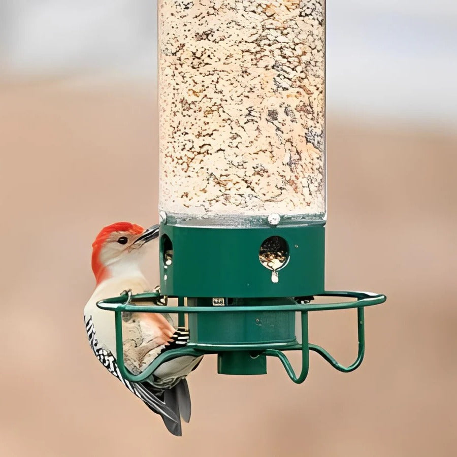 Hanging Bird Feeder with Squirrel Resistant Spinning Perch and Four Ports, 5 Lb Capacity