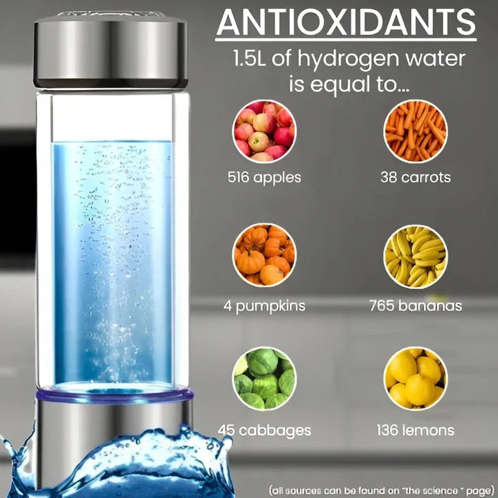 Hydrogen Water Generator Bottle with USB Recharge and One-Button Operation, 300ml Zolana