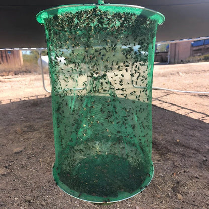 Non Toxic Fly Trap with Reusable Expandable Capture Chamber and 10 All Natural Bait Units Zolana