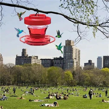 Hummingbird Feeder with Ant Moat and Perches, 16oz Clear Reservoir Zolana
