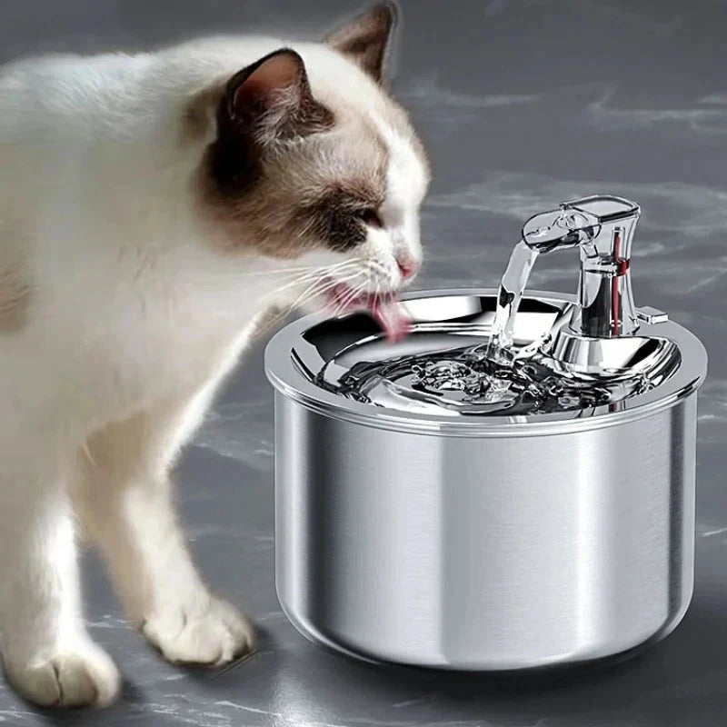 Cat Water Fountain with Stainless Steel Basin and Motion Sensor, 2L USB Powered Zolana