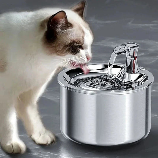 Cat Water Fountain with Stainless Steel Basin and Motion Sensor, 2L USB Powered Zolana