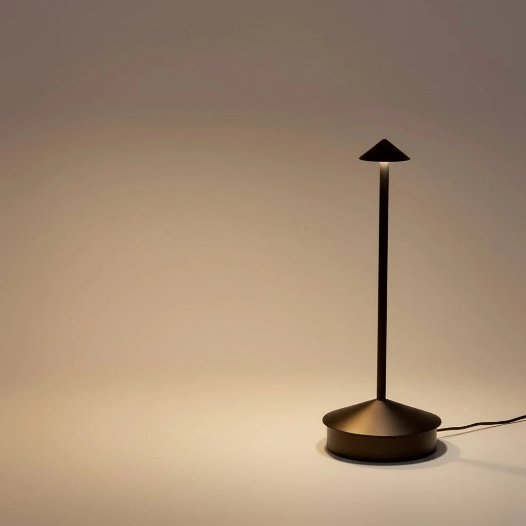 Rechargeable LED Desk Lamp with 3-Mode Color Settings and Touch Control, Compact Zolana