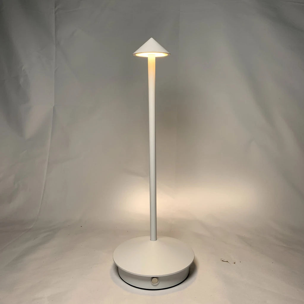 Rechargeable LED Desk Lamp with 3-Mode Color Settings and Touch Control, Compact Zolana