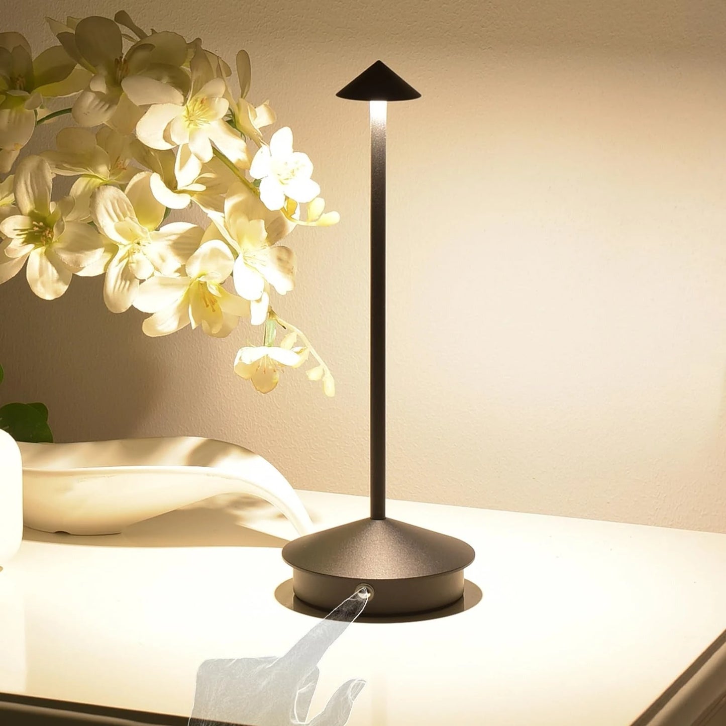 Rechargeable LED Desk Lamp with 3-Mode Color Settings and Touch Control, Compact Zolana