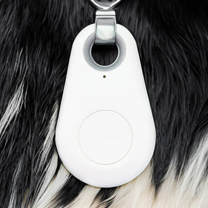 Pet GPS Tracker with Bluetooth Location and Long Battery Life, Water Resistant