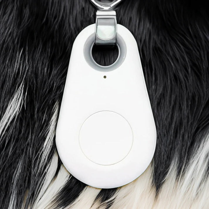 Bluetooth Pet Tracker with Real-Time Location and Proximity Alerts, Water Resistant Zolana