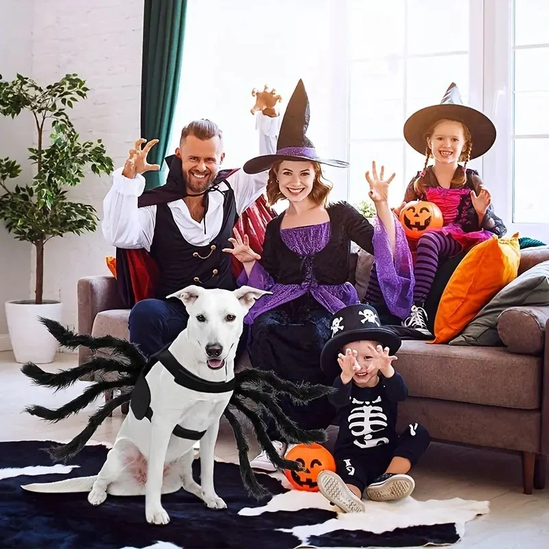 Spider Costume for Cats and Dogs with Adjustable Straps, Lightweight Design, Photo-Ready Zolana