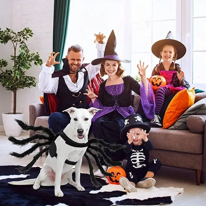Spider Costume for Cats and Dogs with Adjustable Straps, Lightweight Design, Photo-Ready Zolana