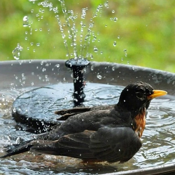 Solar Fountain with Four Spray Patterns and Toolless Setup, 7-Inch Floating Solar Pump