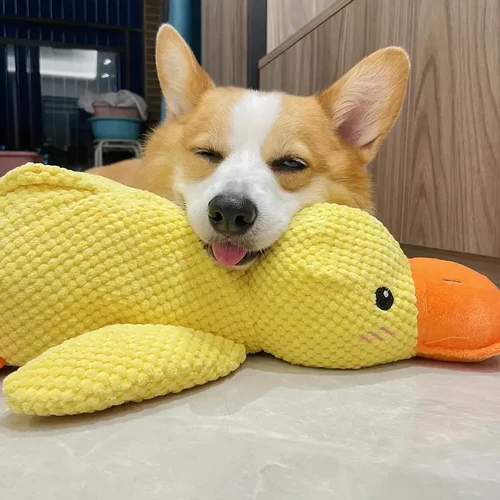 Plush Squeaky Dog Toy with Deep Low Quack and Soft Washable Body, 9.8 x 8.6 in Zolana