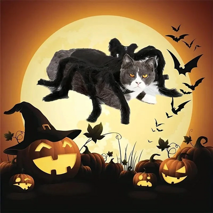 Spider Costume for Cats and Dogs with Adjustable Straps, Lightweight Design, Photo-Ready Zolana