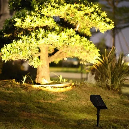 Solar LED Garden Spotlight with Adjustable Zoom Lens and RGB Warm White, Weatherproof Zolana