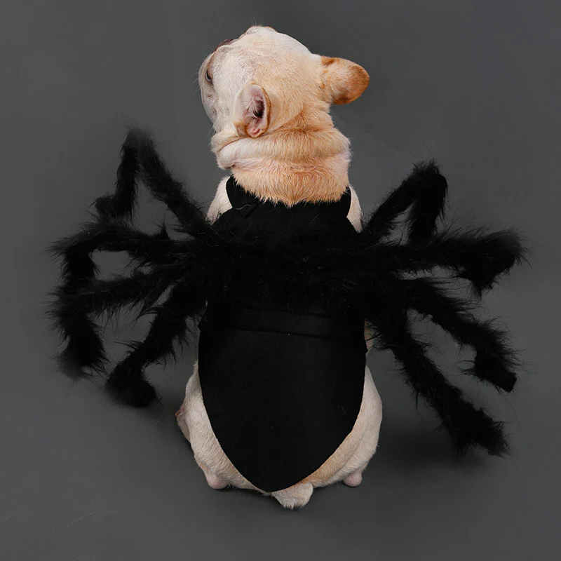 Spider Pet Costume with Articulated Legs and Adjustable Straps, Breathable Mesh Lining