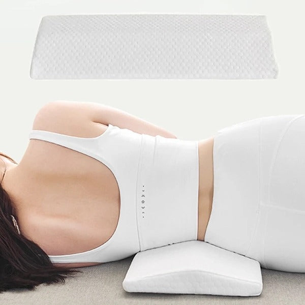 Lumbar Support Cushion with Breathable Mesh Cover and Supportive Foam, Removable Case Zolana