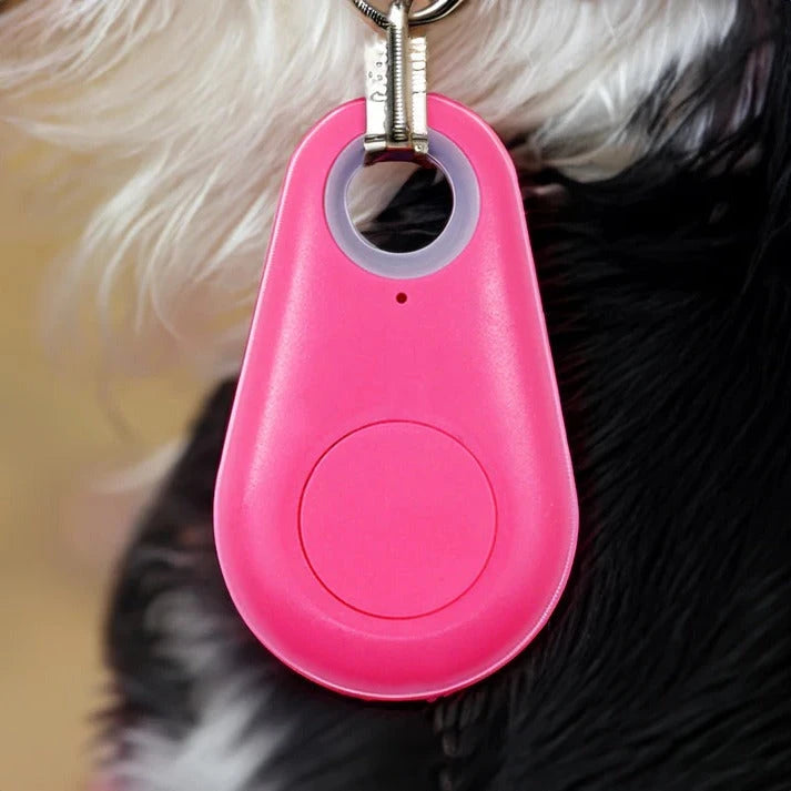 Bluetooth Pet Tracker with Real-Time Location and Proximity Alerts, Water Resistant Zolana