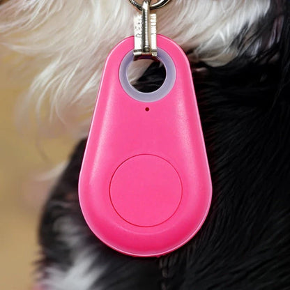 Bluetooth Pet Tracker with Real-Time Location and Proximity Alerts, Water Resistant Zolana