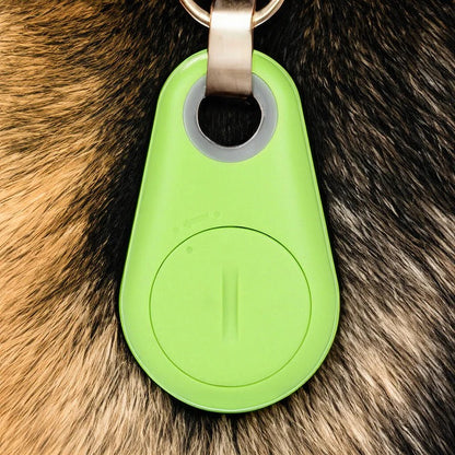 Bluetooth Pet Tracker with Real-Time Location and Proximity Alerts, Water Resistant Zolana