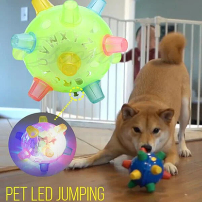 Interactive Dog Ball with Random Hopping Motion and LED Lights, USB Rechargeable
