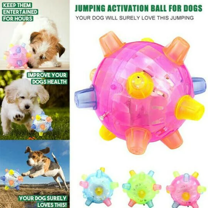 Interactive Dog Ball with Random Hopping Motion and LED Lights, USB Rechargeable
