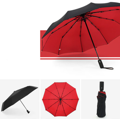Compact Windproof Umbrella with Automatic One-Hand Open and Vented Canopy, 42in